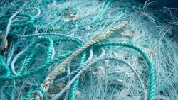 Браконьер сетью выловил почти 100 особей рыб и добыл 12 килограммов икры недалеко от Охи 