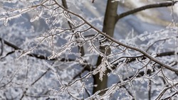 Снег и сильный мороз ожидаются в Сахалинской области 31 января