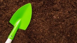 Почти треть почвенных проб на Сахалине показали техногенное загрязнение