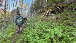 Останки погибшего в 1945 году пограничника нашли поисковики на Сахалине