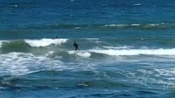 «Всю рыбу распугали»: очевидцы засняли тренировку серферов на побережье Охотского