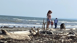 Выгул собак на пляжах Сахалина спровоцировал скандал в соцсетях