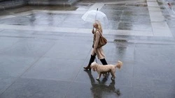 Дожди и прохладу ожидает Сахалинская область 13 июня