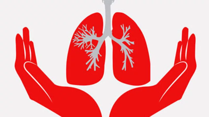 Контакт с палочкой