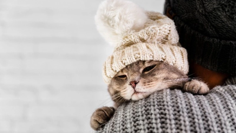 Снег и ветер до 22 м/с придут в Сахалинскую область днем 14 декабря