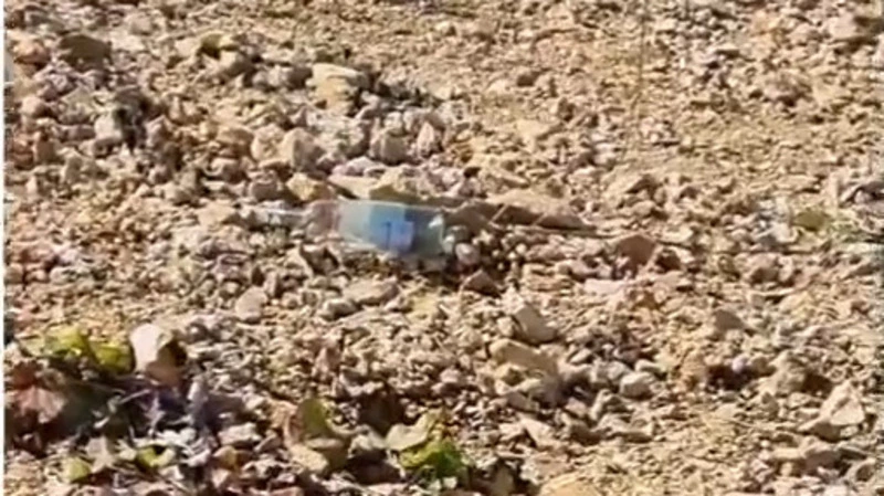 «Мы — свиньи»: сахалинцы призвали людей не мусорить на «Горном воздухе»