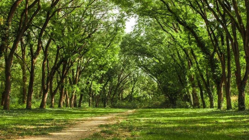 Церковный праздник 26 июня 2023: что нельзя делать в этот день, приметы