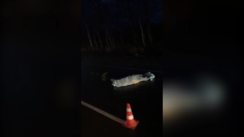 На юге Сахалина кроссовер переехал женщину, лежащую посреди дороги