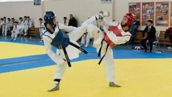 Первенство по олимпийскому тхэквондо стартовало в Южно-Сахалинске
