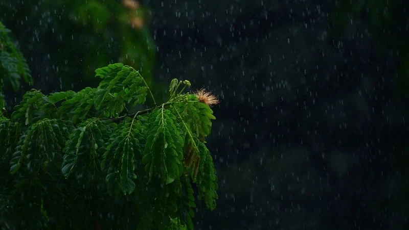 Небольшой дождь и до +27 градусов ждет жителей Сахалина и Курил 23 июня