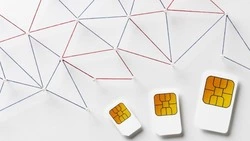 Жители Сахалина и Курил могут проверить все оформленные на них SIM-карты через Госуслуги