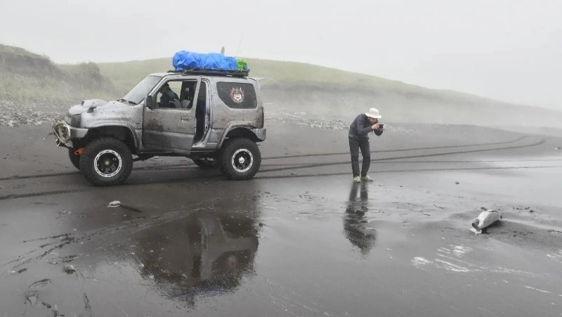 Лису в момент охоты на Кунашире поймали в объектив туристы