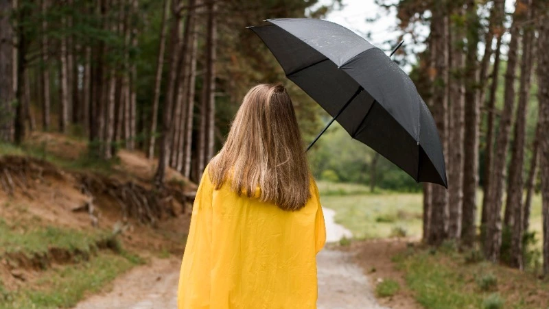 Дождливая погода сохранится в Сахалинской области 11 сентября