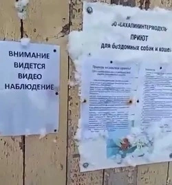 Приют «Сахалининтермодуль» самовольно захватил почти гектар земли