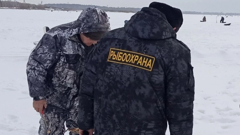 Семь административных дел возбудили на сахалинских рыбаков-нарушителей за неделю