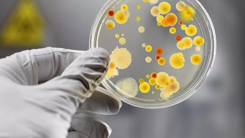 Тонну кефира с кишечной палочкой обнаружили на Сахалине