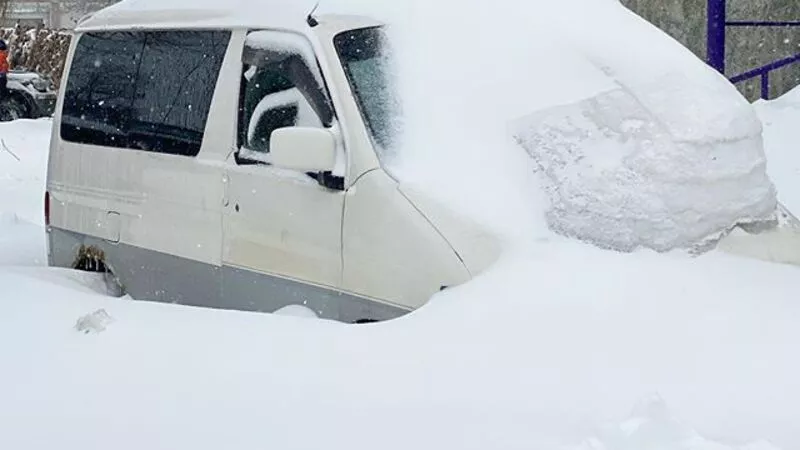 Юрий Грымов о Сахалине: Дорогие москвичи! Так выглядит снег, он белый и холодный
