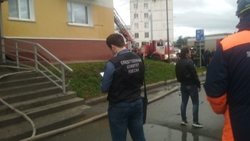 Виновников пожара в Луговом назовут следователи