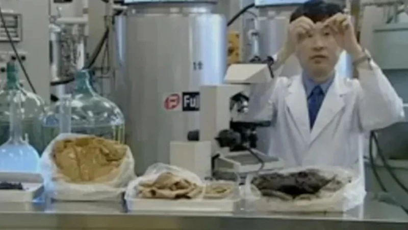 Японский ученый предлагает наладить массовое производство мяса из экскрементов