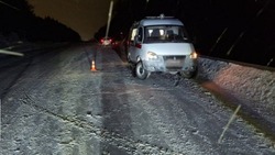 Пенсионер на седане сбил пешехода посреди трассы Корсаковского района