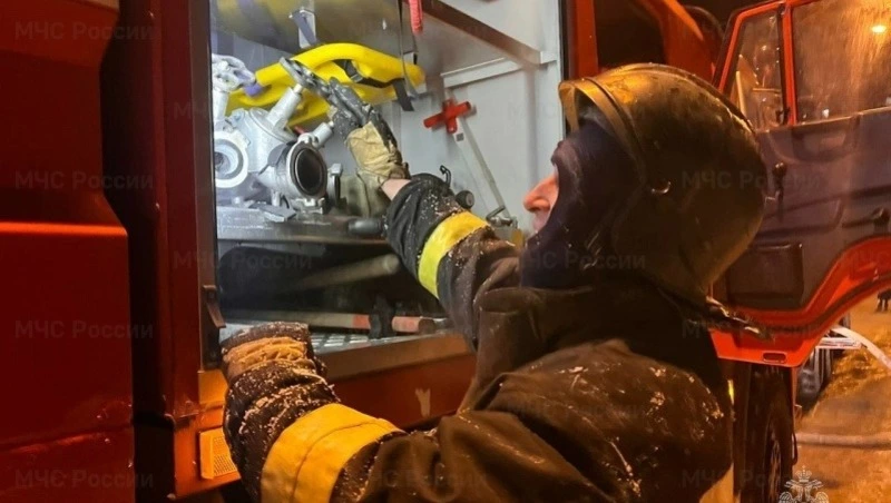 Пожарные потушили дерево в одном из дворов Корсакова