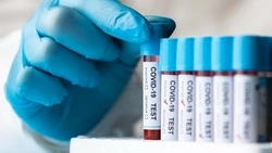 Заболеваемость COVID-19 за неделю выросла на Сахалине на 26%