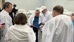 Заводу комбикорма в Холмске не хватает сырья: на Сахалине нет нужного зерна