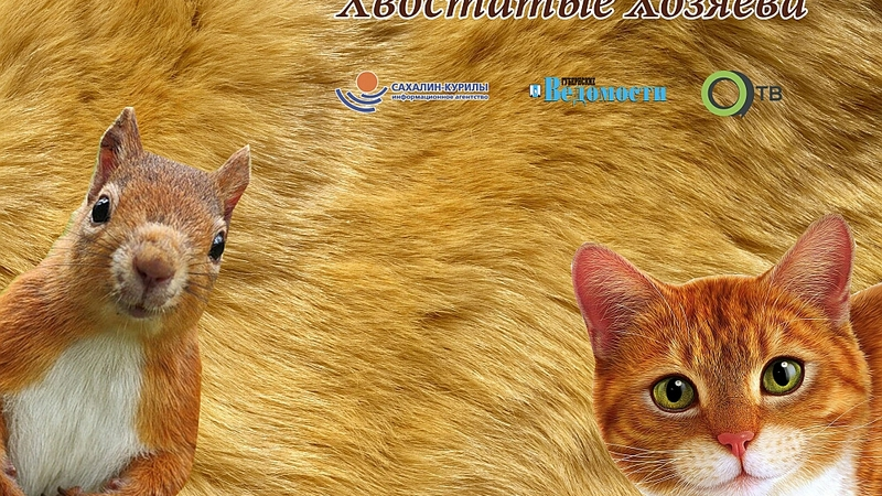 Голосуем за хвостатых хозяев