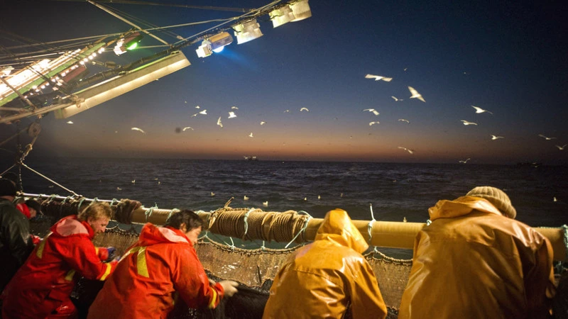 Каникул в море не бывает