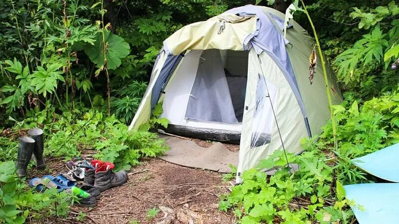 Сахалинцы начали чаще покупать товары для отдыха на природе