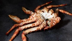 Компанию осудили за незаконную добычу самок краба в Северо-Курильском районе 