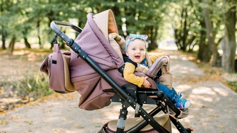 Больше 300 сахалинских родителей получили сертификат на маткапитал с начала 2024 года