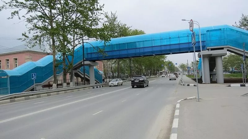 Инвалиды Южно-Сахалинска смогут пользоваться надземными пешеходными переходами