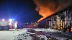 В Корсакове спасли 59 единиц водной техники от пожара в ангаре