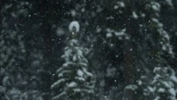 Синоптики уточнили прогноз погоды в Сахалинской области на 9 февраля