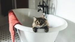 Сельчане и сотни жителей Южно-Сахалинска остались без холодной и горячей воды 19 августа