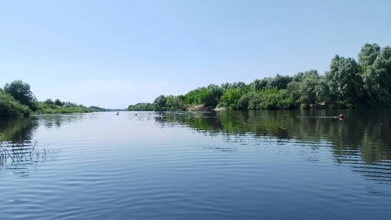 В реках Сахалина обнаружили токсичные вещества