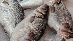 Два вида рыбы по доступной цене появились в Южно-Сахалинске. Адреса