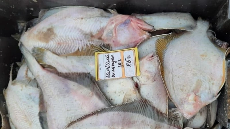 Сахалинцев приглашают за доступной рыбой. Привезли четыре вида