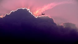 Пассажиропоток авиакомпании «Аврора» с начала года вырос на 25%
