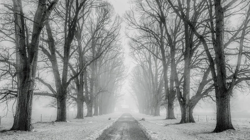 Участок дороги Южно-Сахалинск — Оха закрыли из-за метели в ночь на 14 декабря