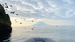 «Я залипла»: курильчане запечатлели вулкан Алаид с побережья Охотского моря