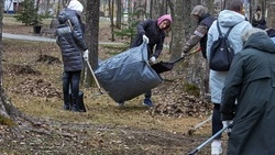 Месяц чистоты в преддверии Всероссийского субботника стартовал на Сахалине и Курилах