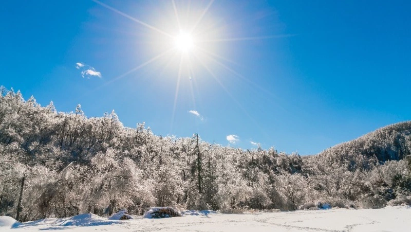 Потепление до +3 градусов придет в Южно-Сахалинск 7 декабря 