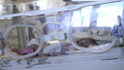 Российские врачи борются за жизнь новорожденного с коронавирусом