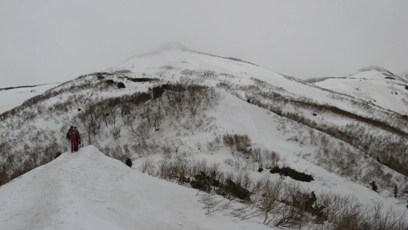 Вертолет Robinson аварийно приземлился северо-восточнее горы Красная на Сахалине