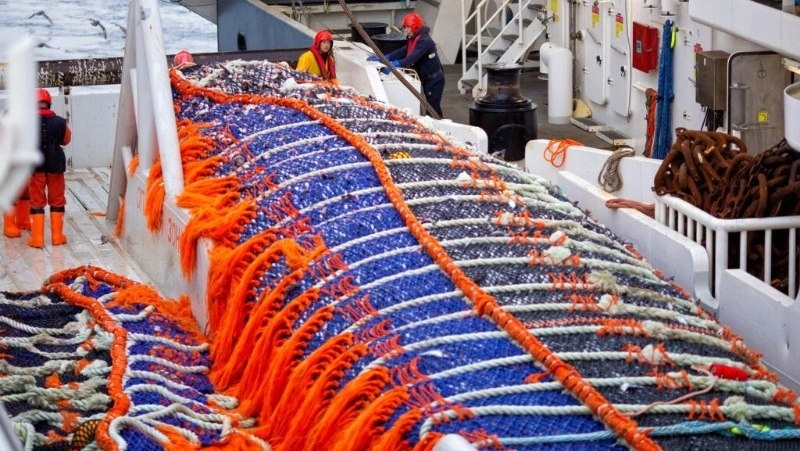 Росрыболовство: вылов рыбы с начала года вырос на 14%