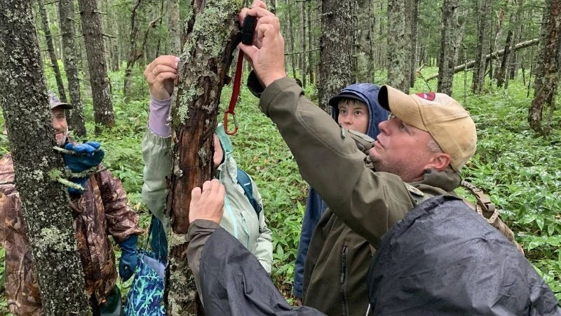 На Сахалине нашли микробов, «поедающих» пластик