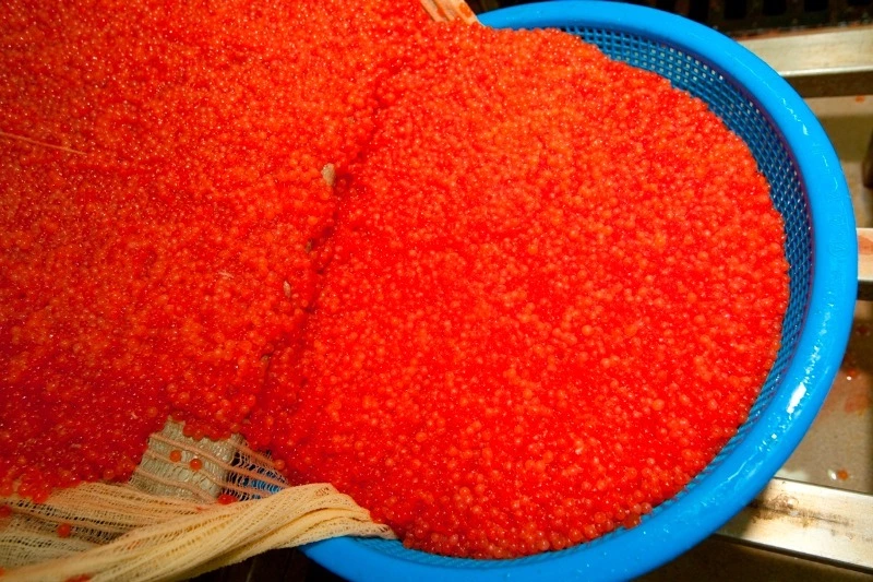 Сахалинца могут посадить за незаконную заготовку более 8 кг икры