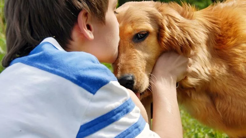 Сахалинец рассказал, как украл и отсудил собаку у соседа-живодера